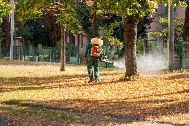Best Residential Pest Control  in Lake Geneva, WI
