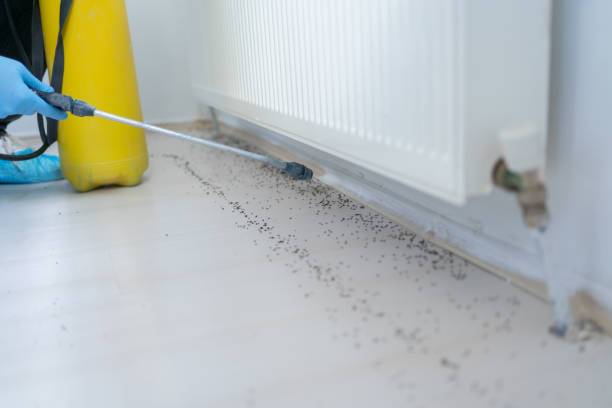 Best Termite Control Services  in Lake Geneva, WI